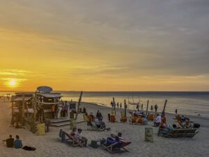 Strandbar, Surfbar8q